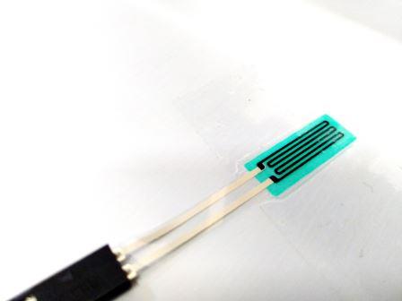 Temperature Sensors Printed Electronics